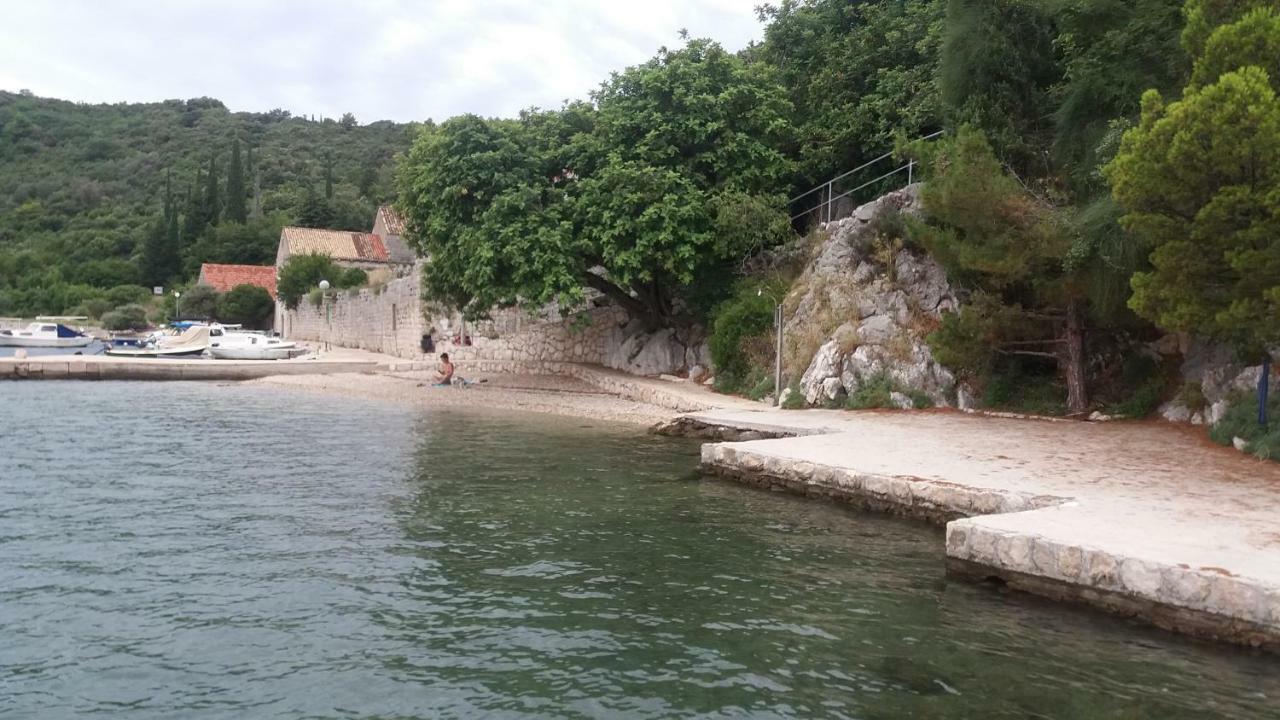Vesna - Your Best Choice - 80 M From Beach Zaton  Eksteriør bilde