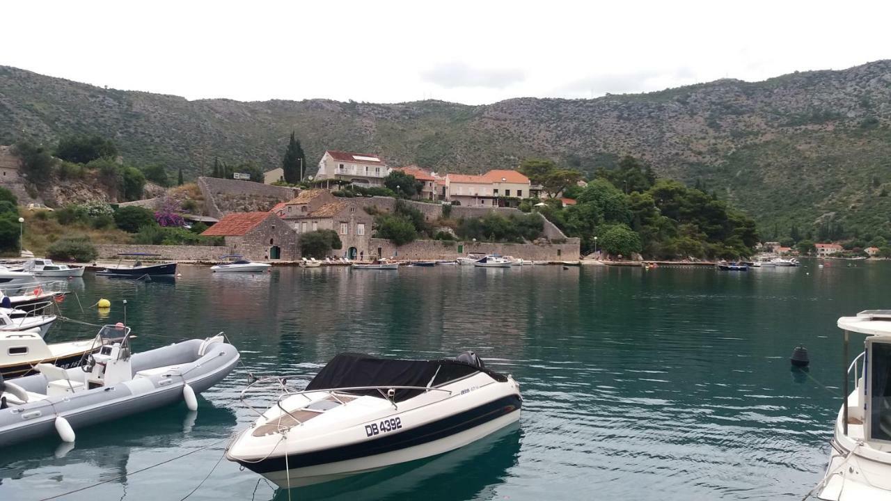 Vesna - Your Best Choice - 80 M From Beach Zaton  Eksteriør bilde