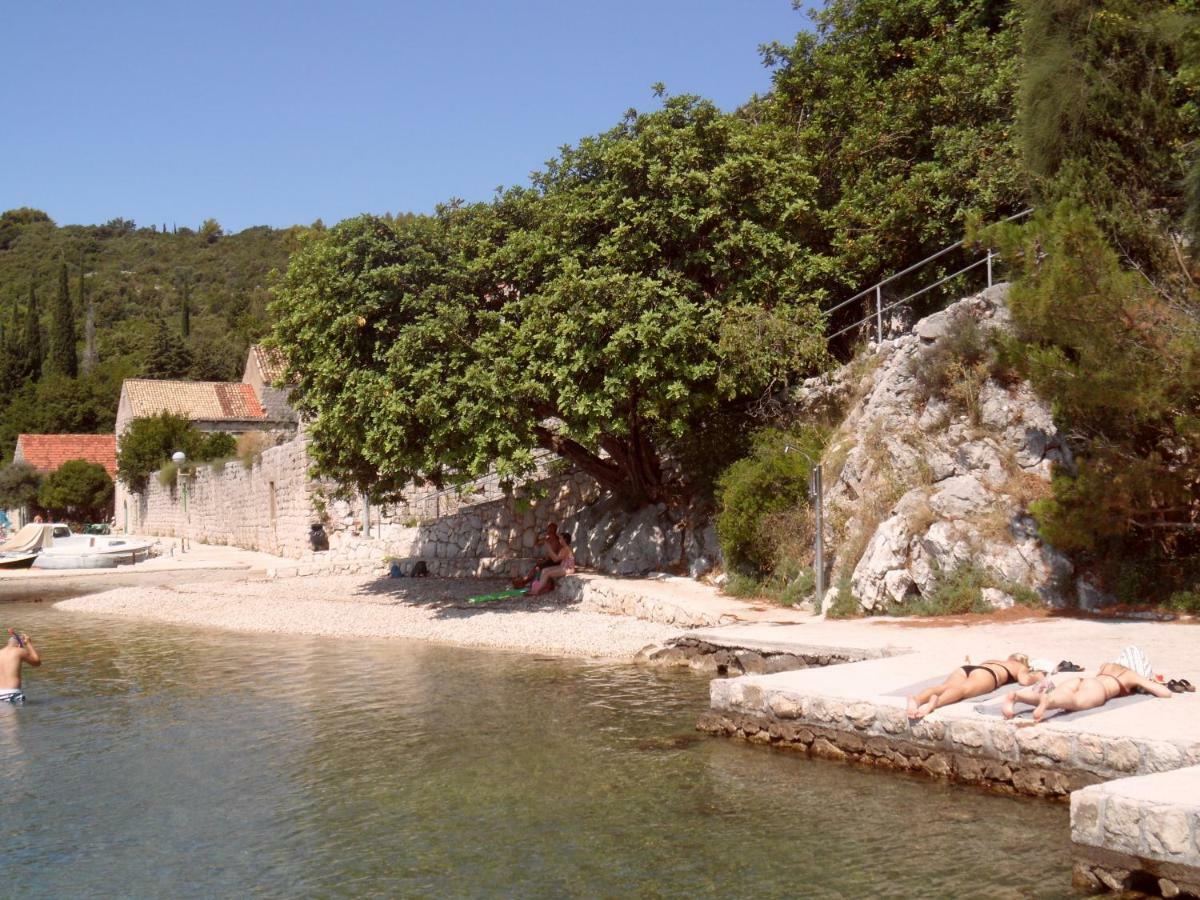 Vesna - Your Best Choice - 80 M From Beach Zaton  Eksteriør bilde
